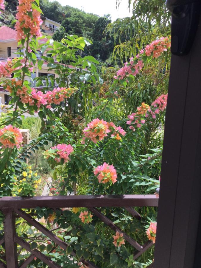 Bougainvillas Seychelles Anse Royale Extérieur photo