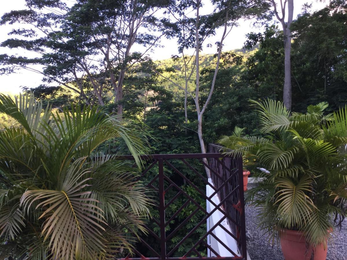 Bougainvillas Seychelles Anse Royale Extérieur photo
